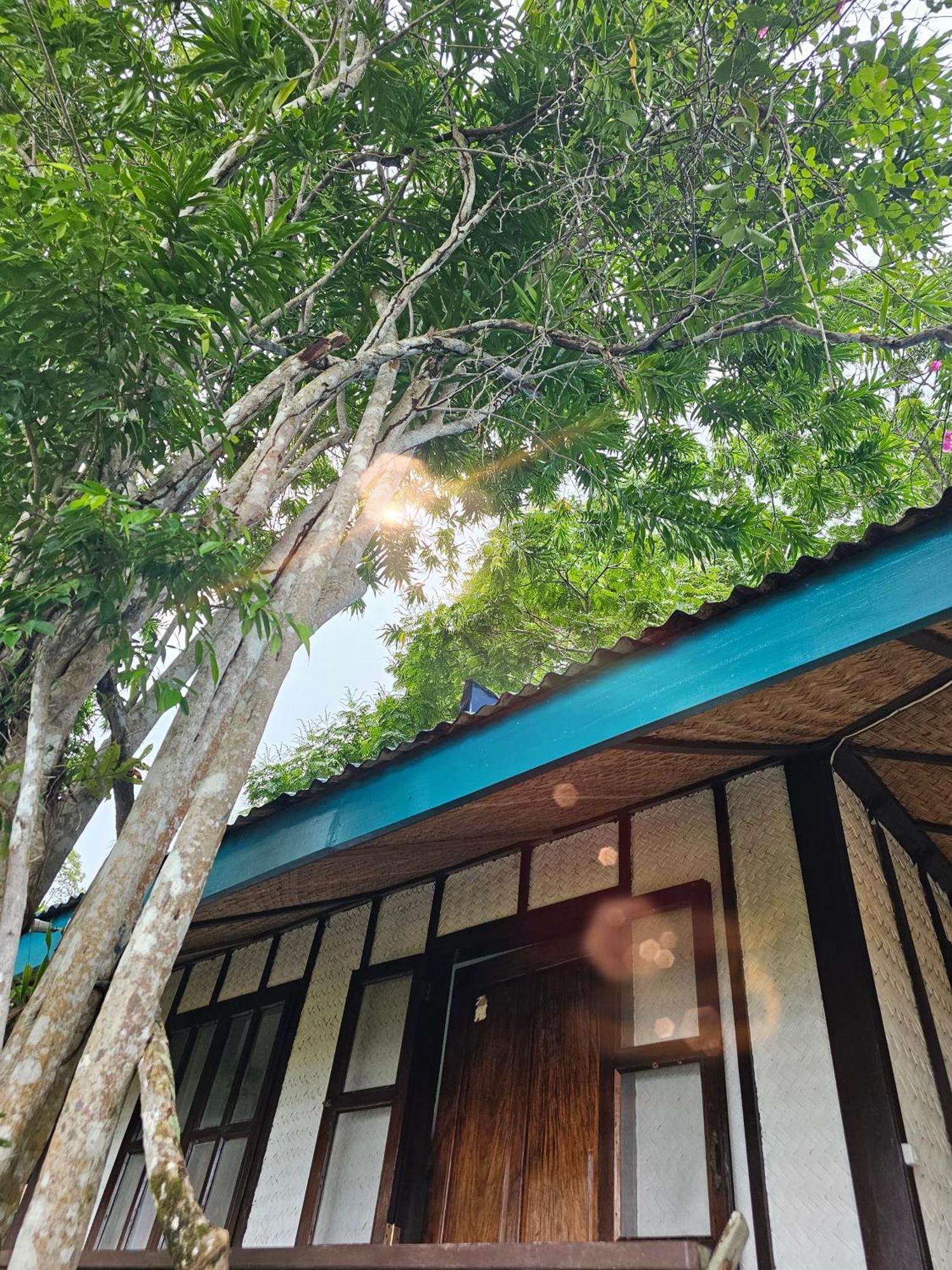 Dk2 Resort - Hidden Natural Beach Spot - Direct Tours & Fast Internet 爱妮岛 外观 照片
